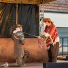 Don Quijote